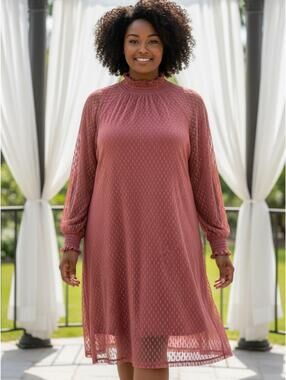 Nina Leonard Pink Swiss Dot Mock Neck Dress XL